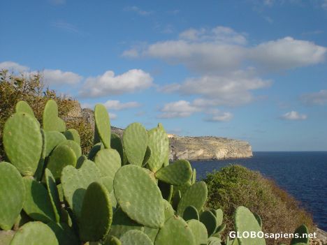 Postcard Gozo