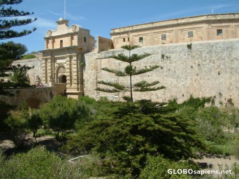 Postcard Mdina - city gate