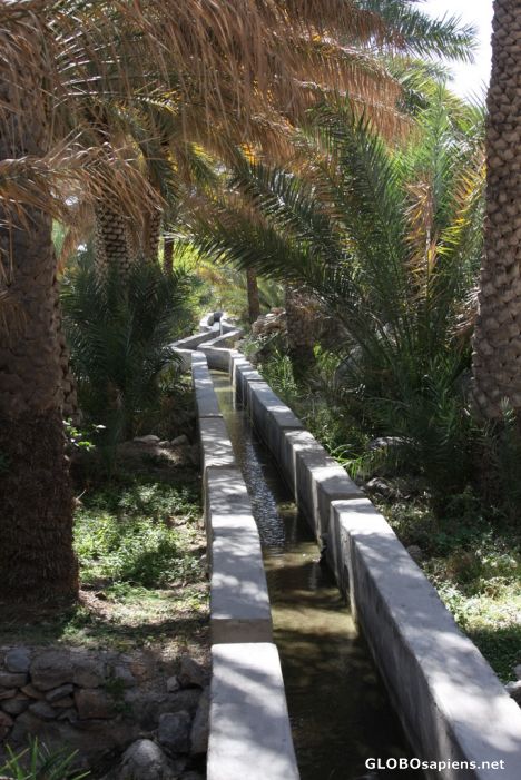 Postcard Misfat al Abriyeen