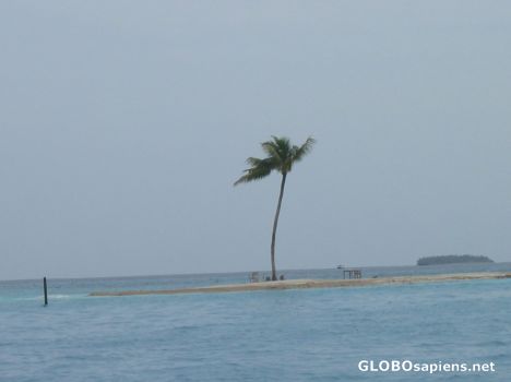 Postcard Lost Island