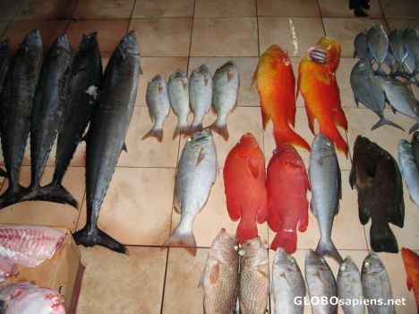 Postcard Fish Market