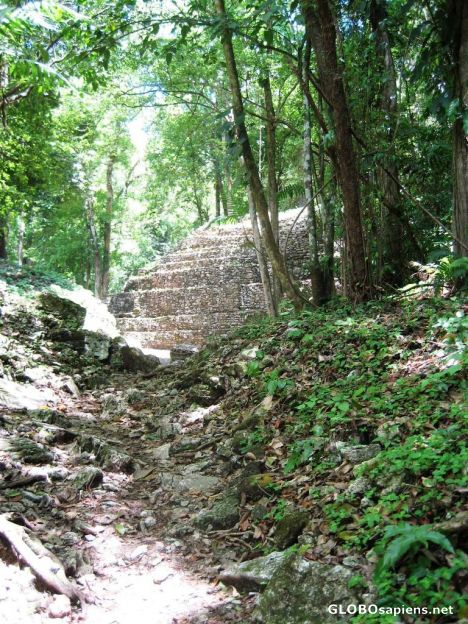 Postcard Entrance to the ruins up a path