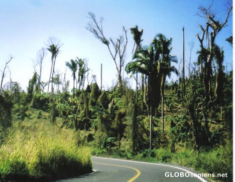 Postcard on the Road to San Blas