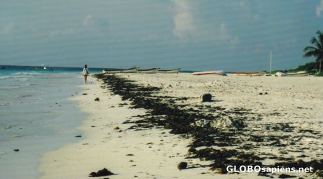 Postcard Tulum Beach
