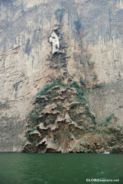 Postcard Christmas Tree Falls