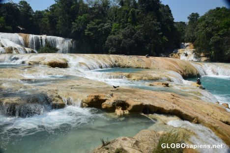 Postcard Agua Azul Cascadas