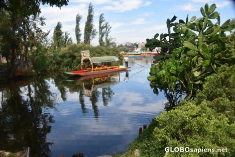 Postcard The trajineras of Xochimilco