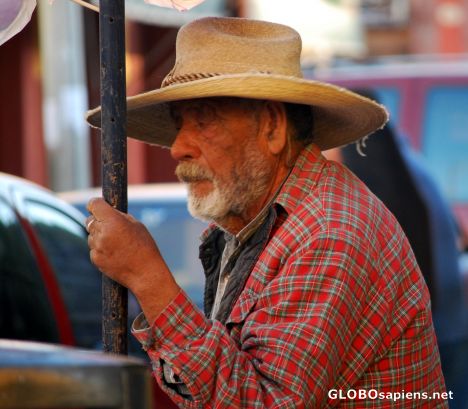 Postcard Old fellow