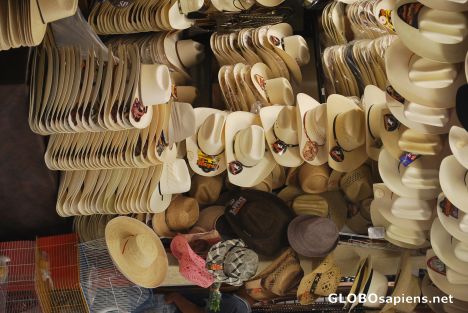 Postcard Hats