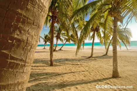 Postcard tulum beach