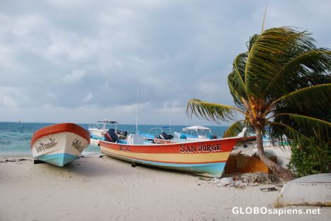Postcard Local boats
