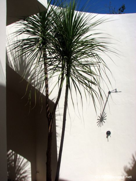 Postcard Rosewood Mayakoba Hotel - Outdoor Rain Shower