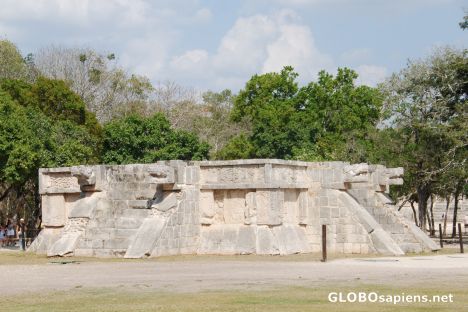 Postcard Platform of Venus