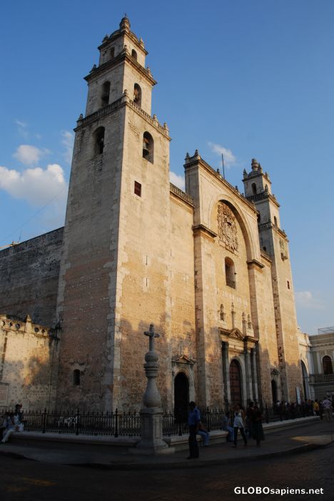 The Cathedral