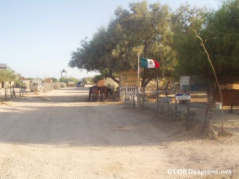 Postcard Main Street, Cabo Pulmo