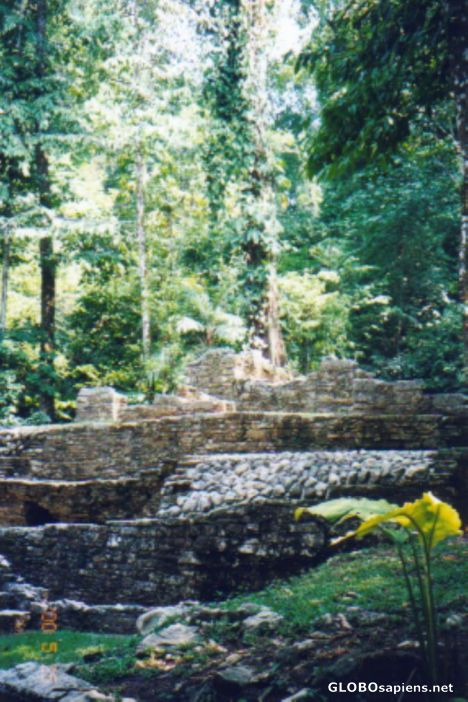 Postcard Women's Baths