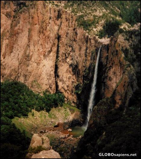 Postcard Cascada Bassaseachi