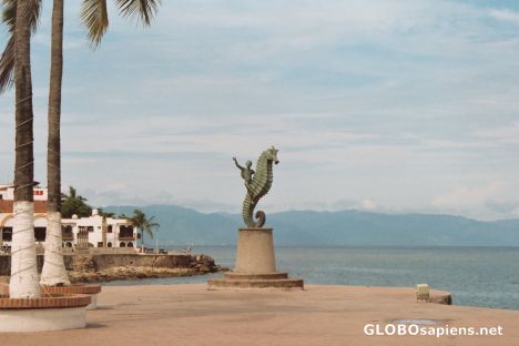Postcard PUERTO VALLARTA,MEXICO