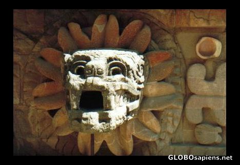Postcard Quetzacotyl - detail from the site