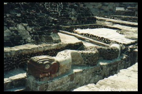 Postcard Serpiente
