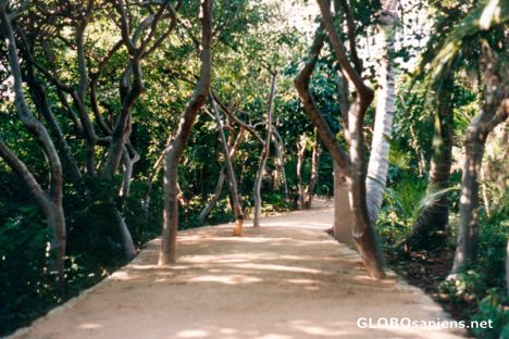 Postcard Mexico Xel-Ha Trail to Beach