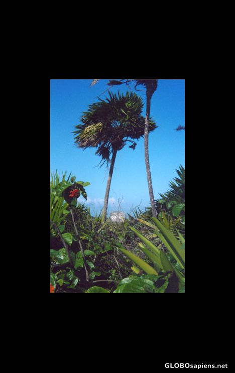 Postcard Tulum Mayan Ruins