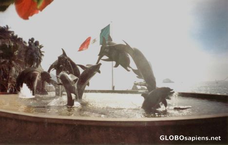Postcard dolphins fountain