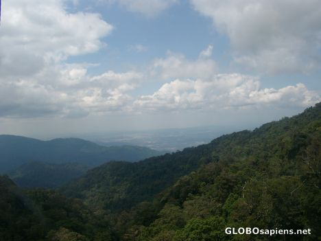 Postcard Rainforests of Genting Highlands