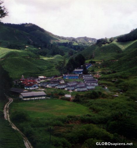 Postcard Cameron Highlands - Tea Factory Workers' Homes
