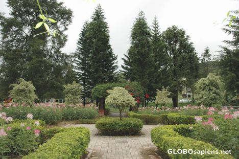 Postcard The Brinchang Coronation Park