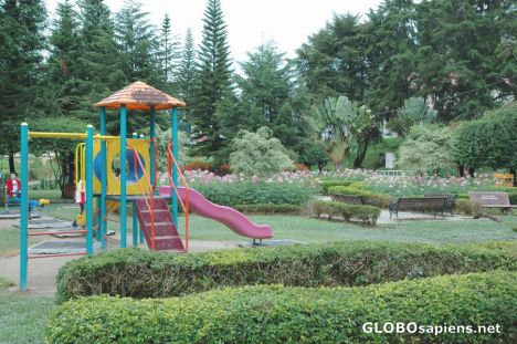 Postcard Brinchang Town Lake Gardens and Playground.