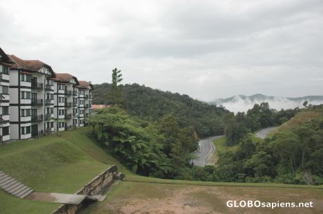 Postcard View of the Forest reserve and the road up Cameron