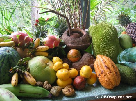 Tropical Fruit on the Tropical Fruits Farm