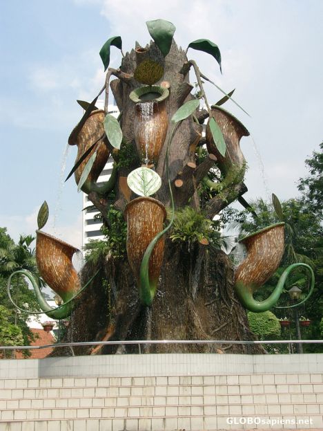 Postcard Fountain featuring \Periuk Kera\ plant.