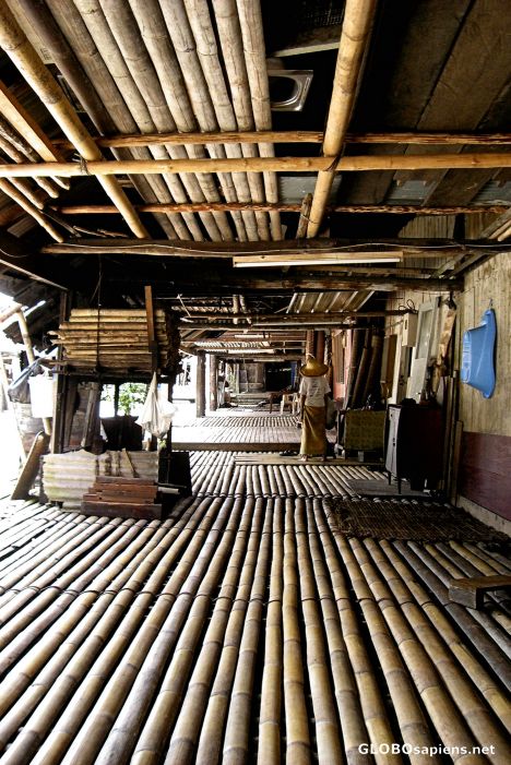 Postcard The Annah Rais Bidayuh Longhouse