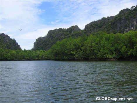 Postcard View of the Lake from the Boat