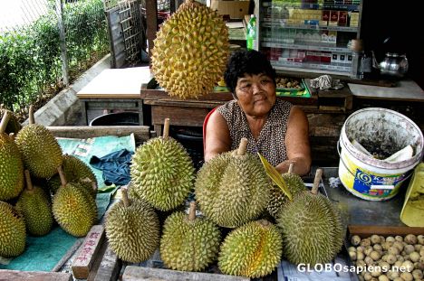 Postcard Durian Vendor, Outskirts of Malacca