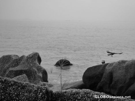 Postcard Rocks and the Sea faraway in classic b/w
