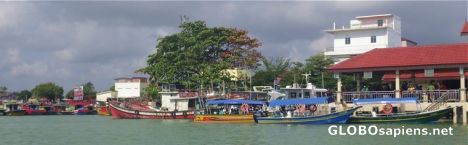 Boats in the port
