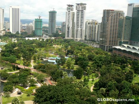 Postcard The Park