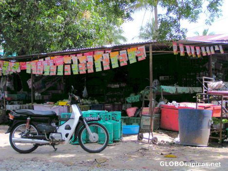 Postcard General Store