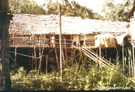 Postcard Malaysia, Boeneo, Longhouse