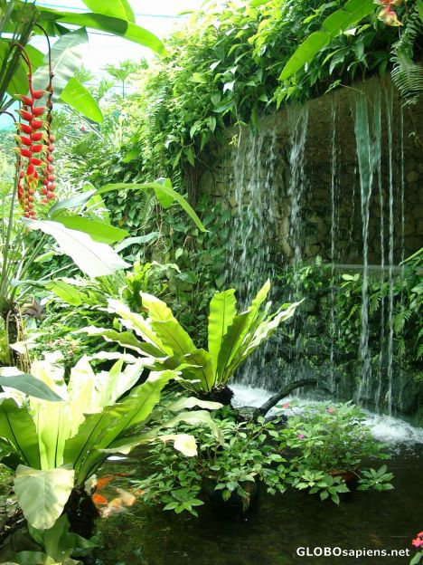 Postcard Kuala Lumpur - Butterfly Park