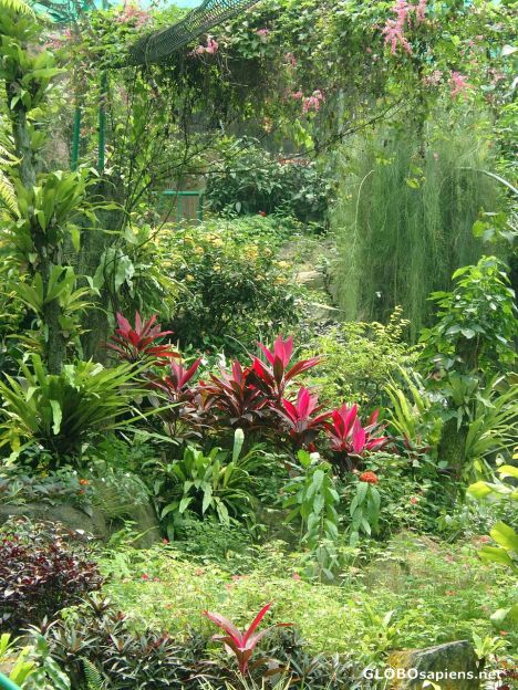 Postcard Kuala Lumpur - Butterfly Park