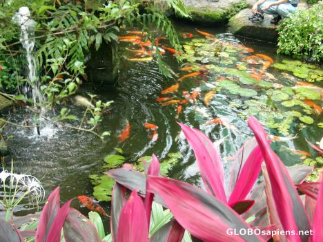 Postcard Kuala Lumpur - Butterfly Park