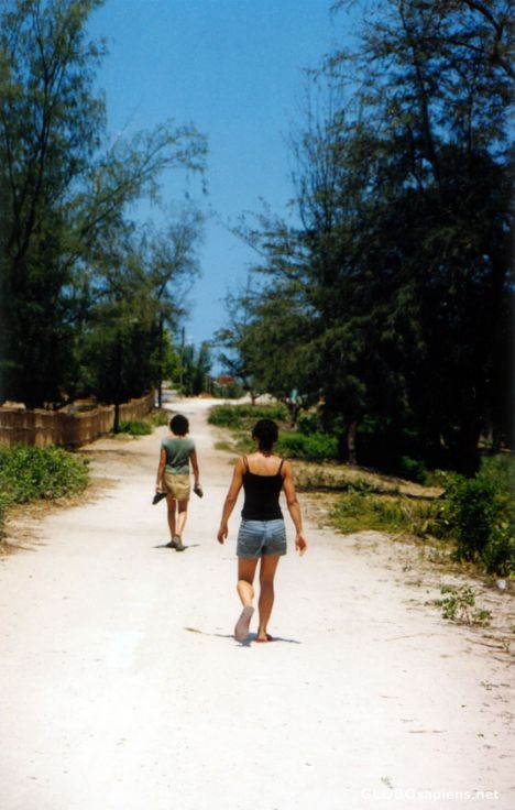 Postcard Typical Walk