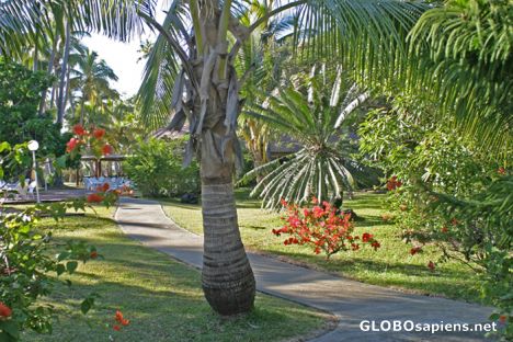 Postcard Club Med Hienghene - Strolling in the hotel garden