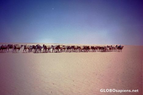Postcard Caravan