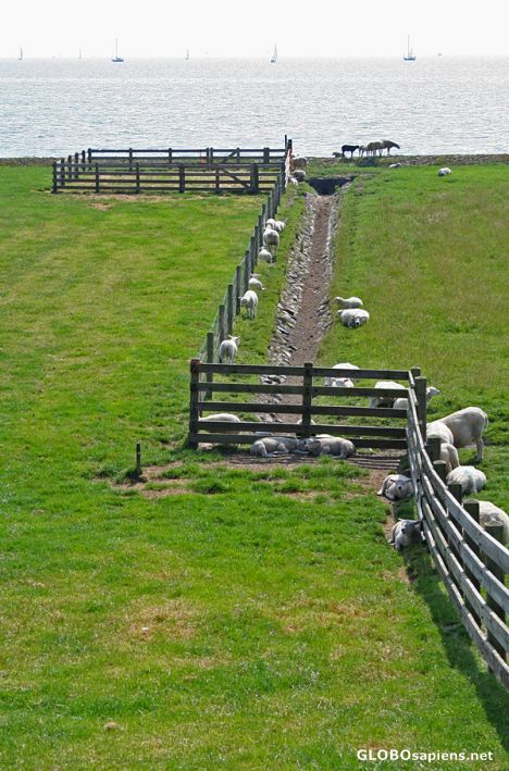Postcard Dyke protecting the low lying village