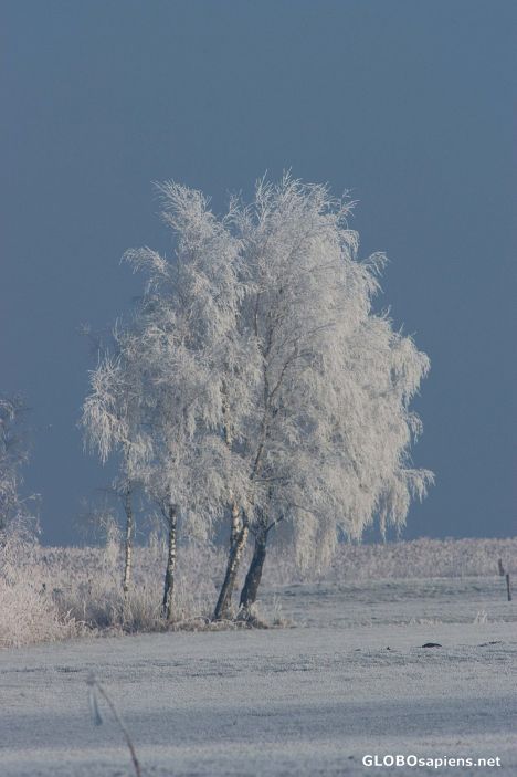 Postcard Winter